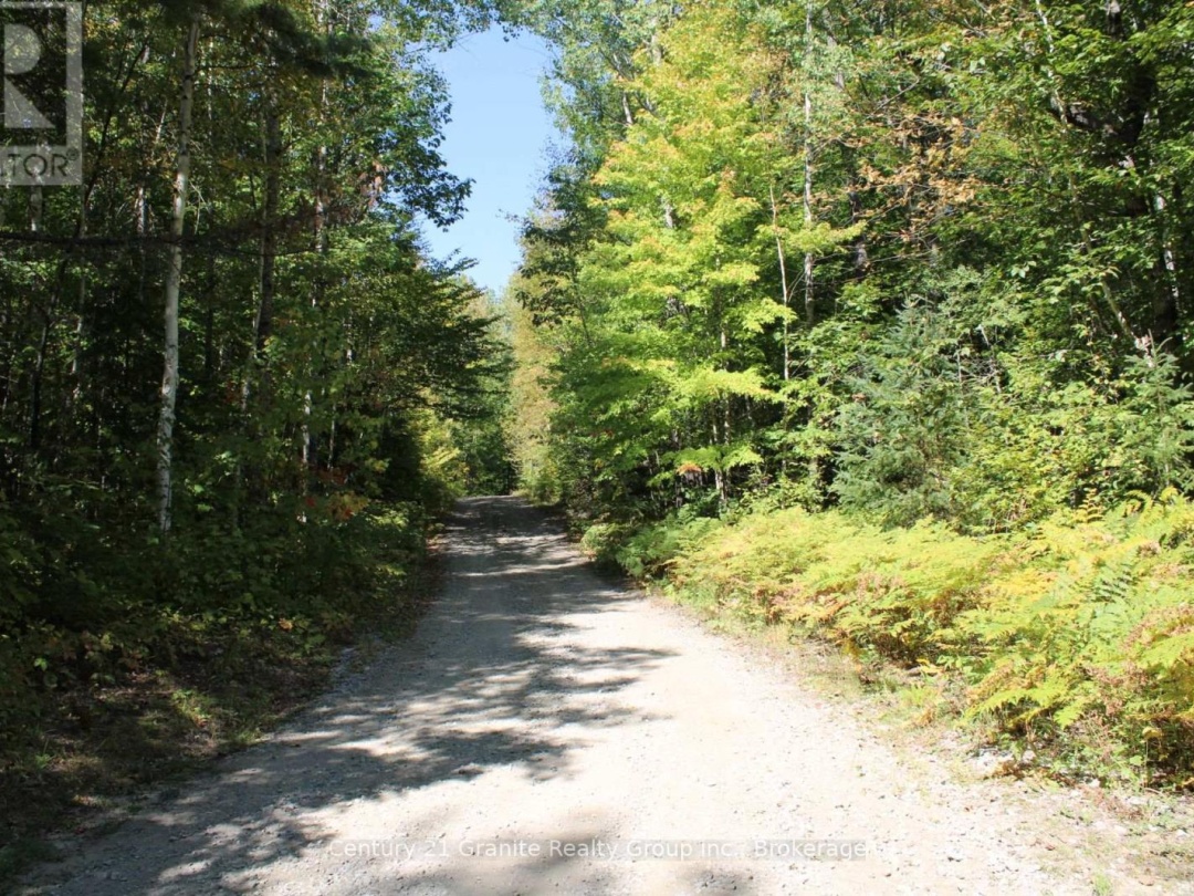 1295 BINSCARTH TRAIL, 