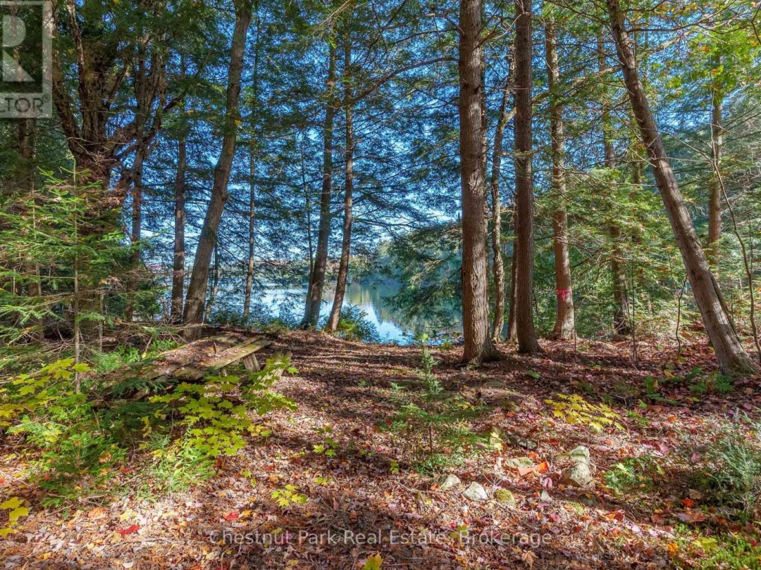 1031 Carl Fisher Drive, Bella Lake