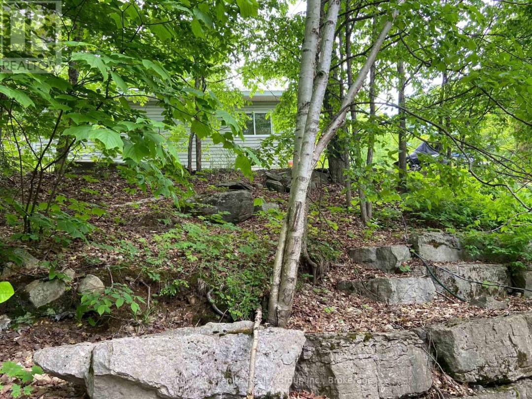 2346 WILKINSON DRIVE, 