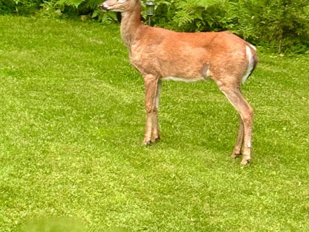 12028 HIGHWAY 118 HIGHWAY, 