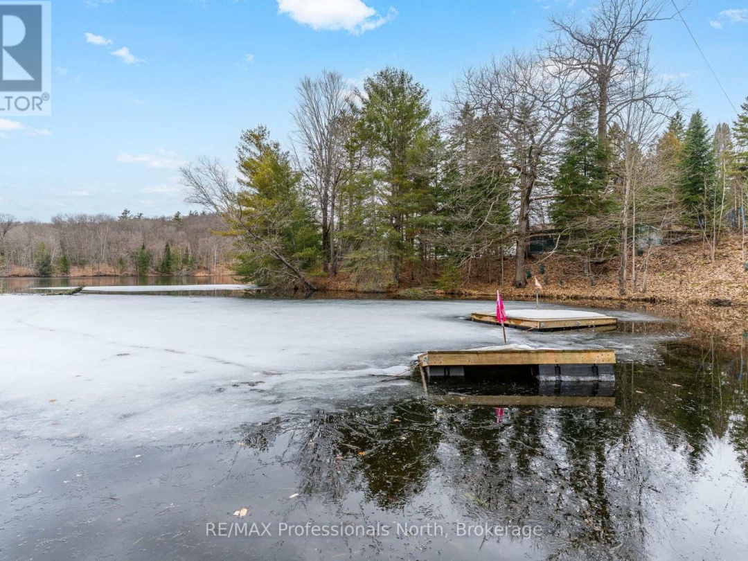 1010 Sturgeon Drive, Minden Lake