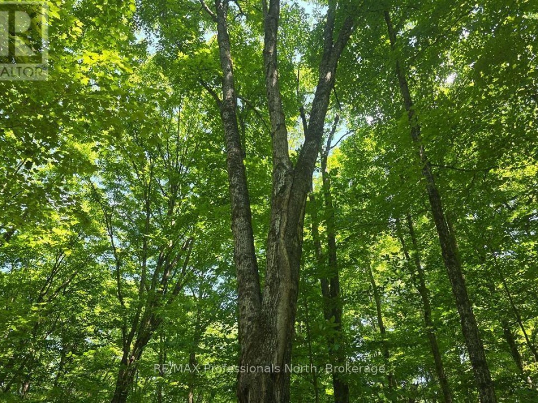 1134 WALKERS LINE ROAD, 