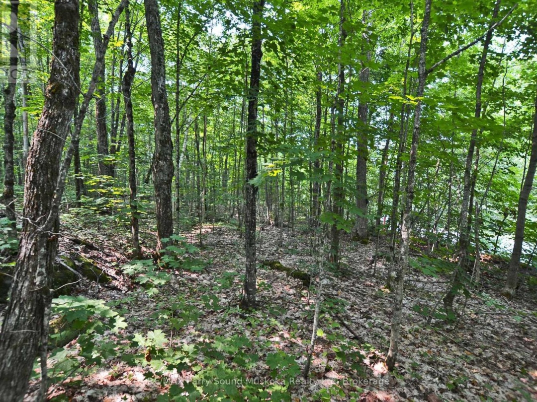 Part 2 0 Lyndsey Lane, McKellar