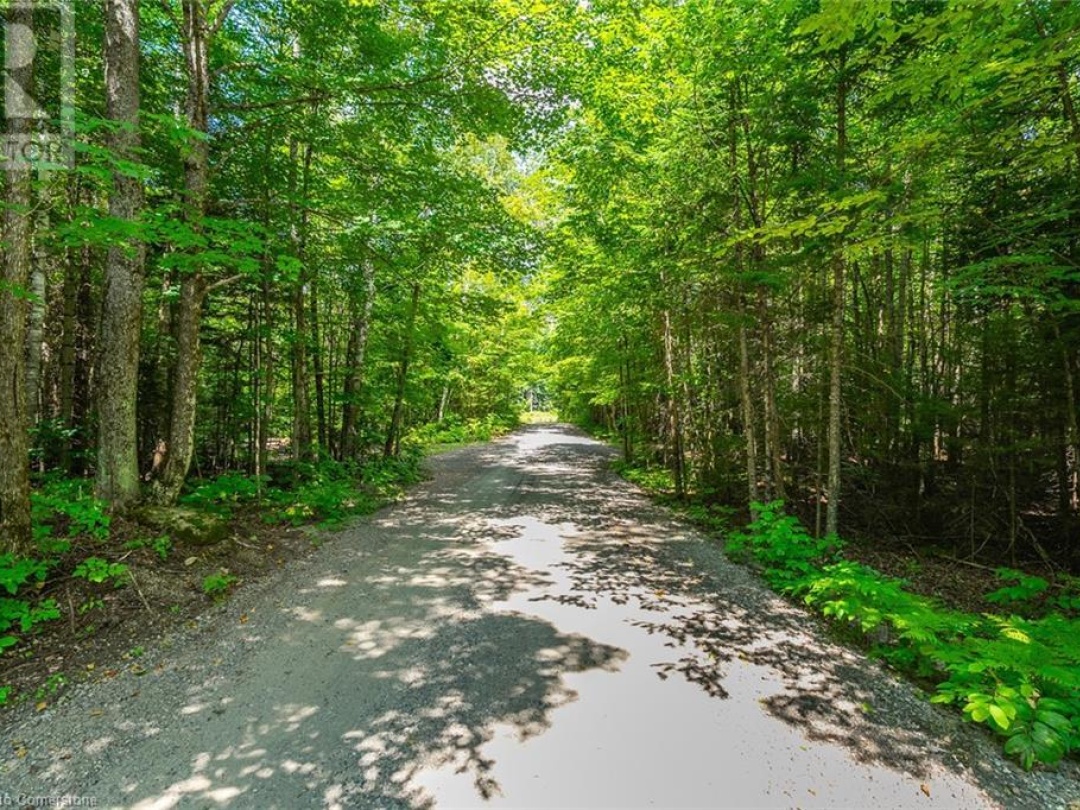 17182 HIGHWAY 118, Haliburton