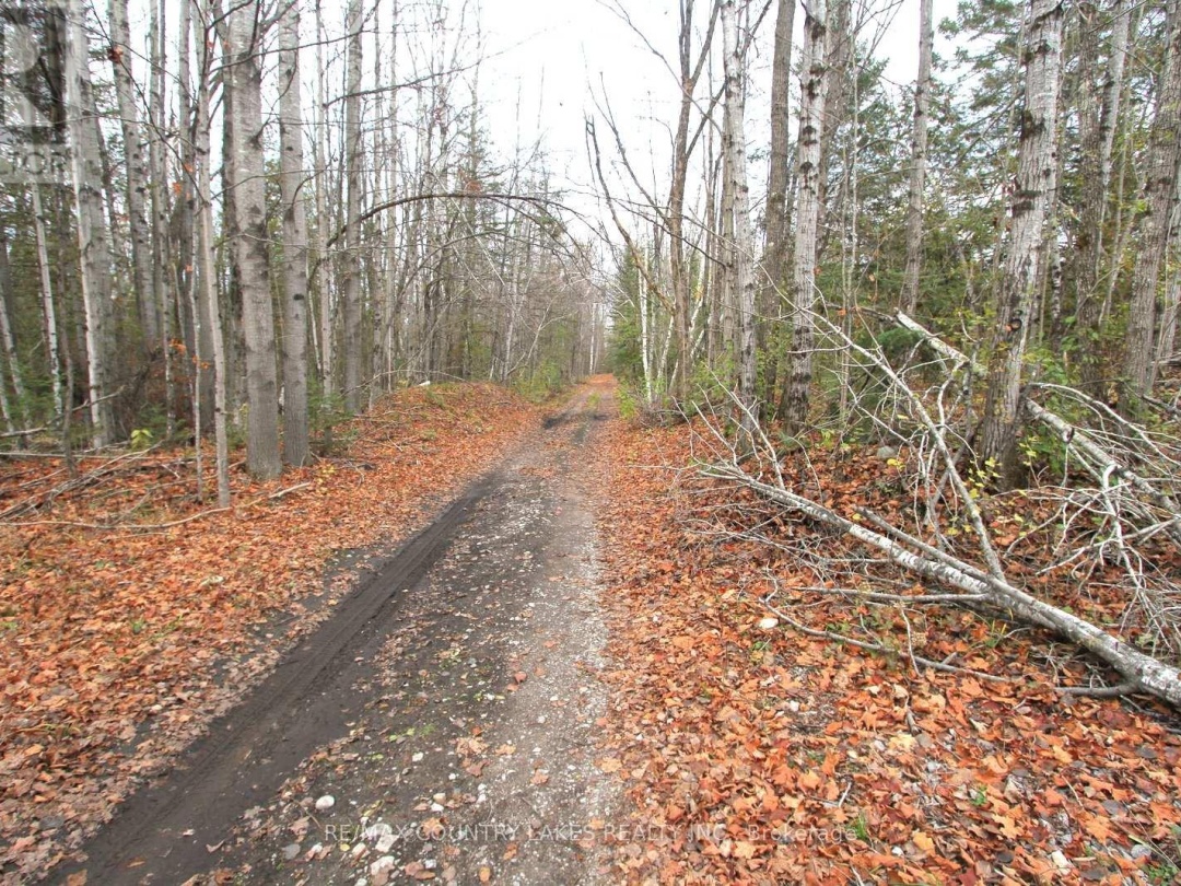 LT3 RAMBLEWOOD TRAIL,