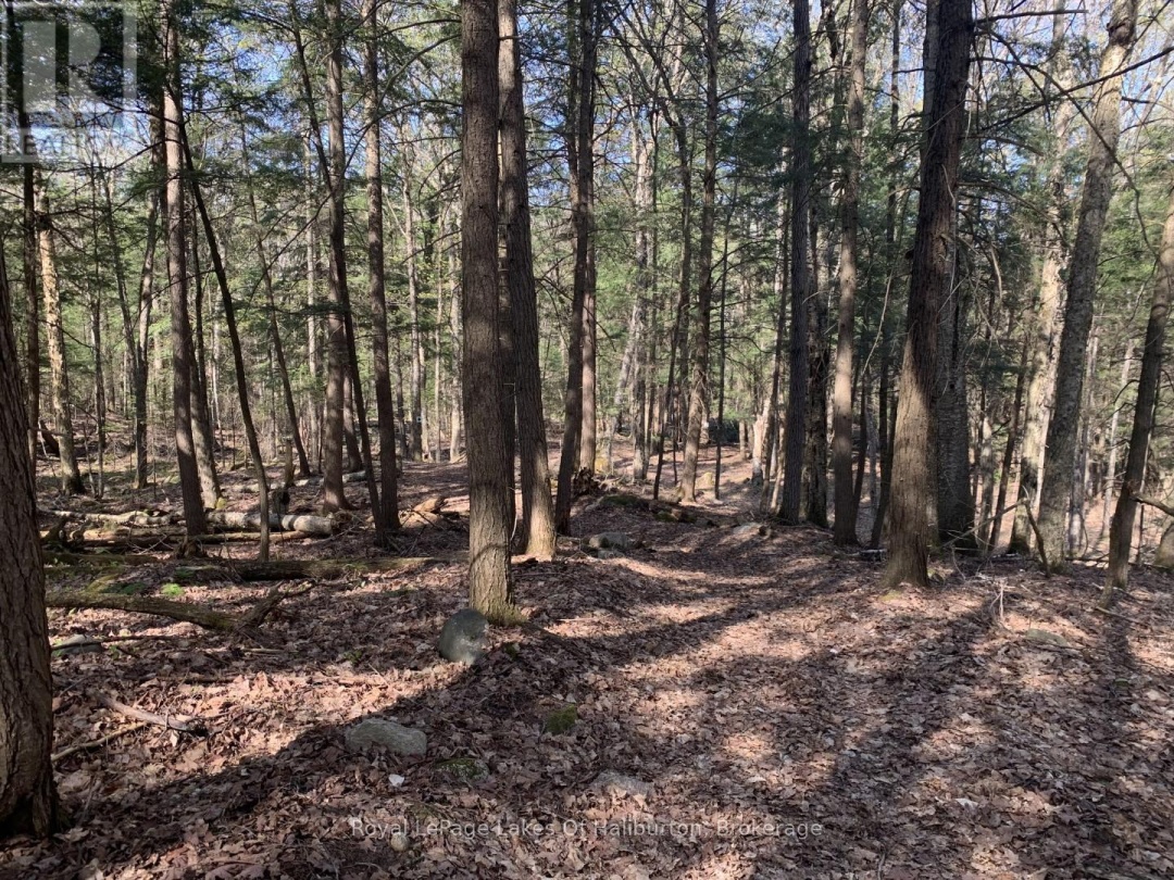 0 KASHAGAWIGAMOG LAKE ROAD, 