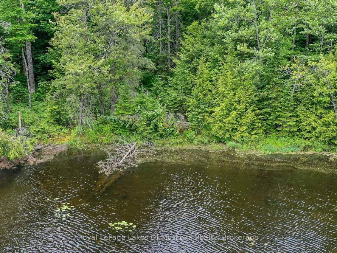 437 OTTER LAKE ROAD, 