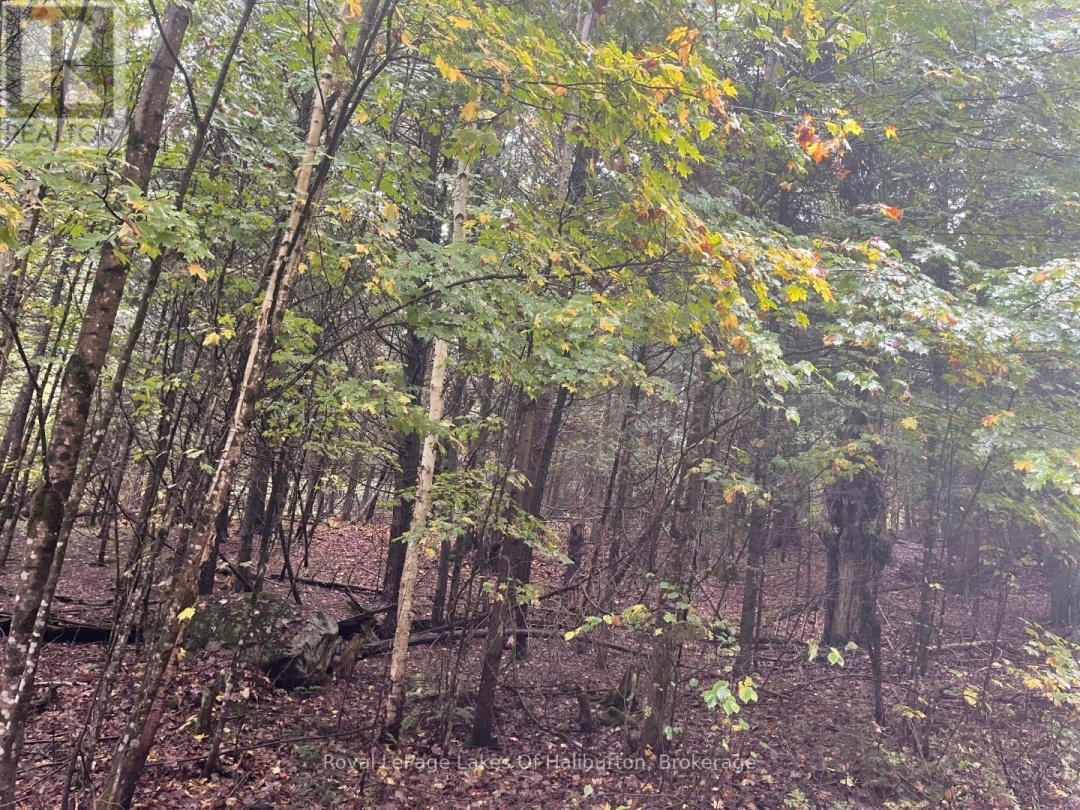 Lot 67 Chelsea Lane, Maple Lake