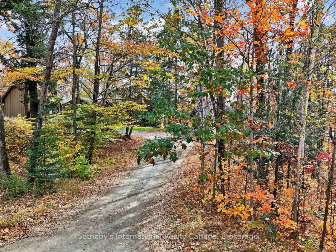 1132 LIMBERLOST ROAD, 