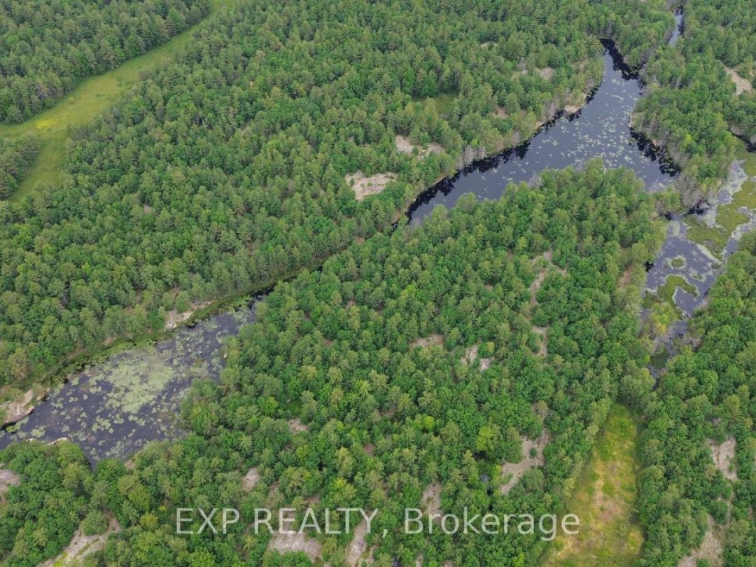 3950 Severn River Shore, Trent Severn