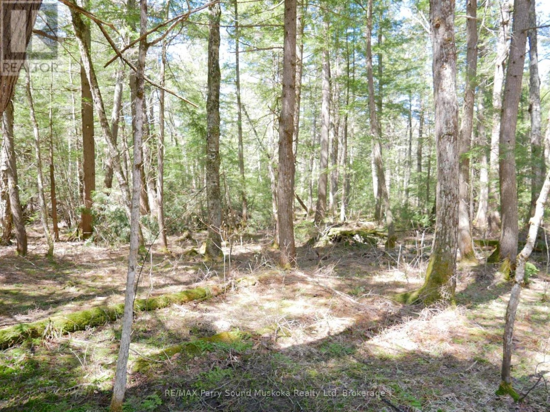 3 GREENWOOD CAMP ROAD, Seguin