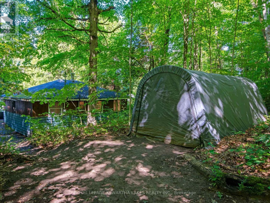 34 Deweys Island, Cameron Lake