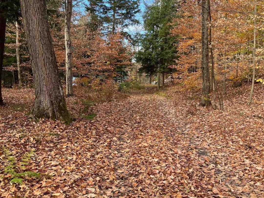 1358 Kushog Lake Road, Kushog Lake