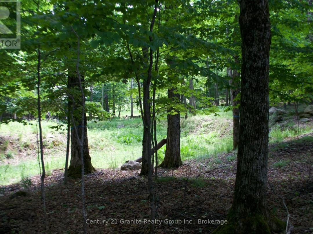 LOT 7 RIDGEVIEW ROAD, 