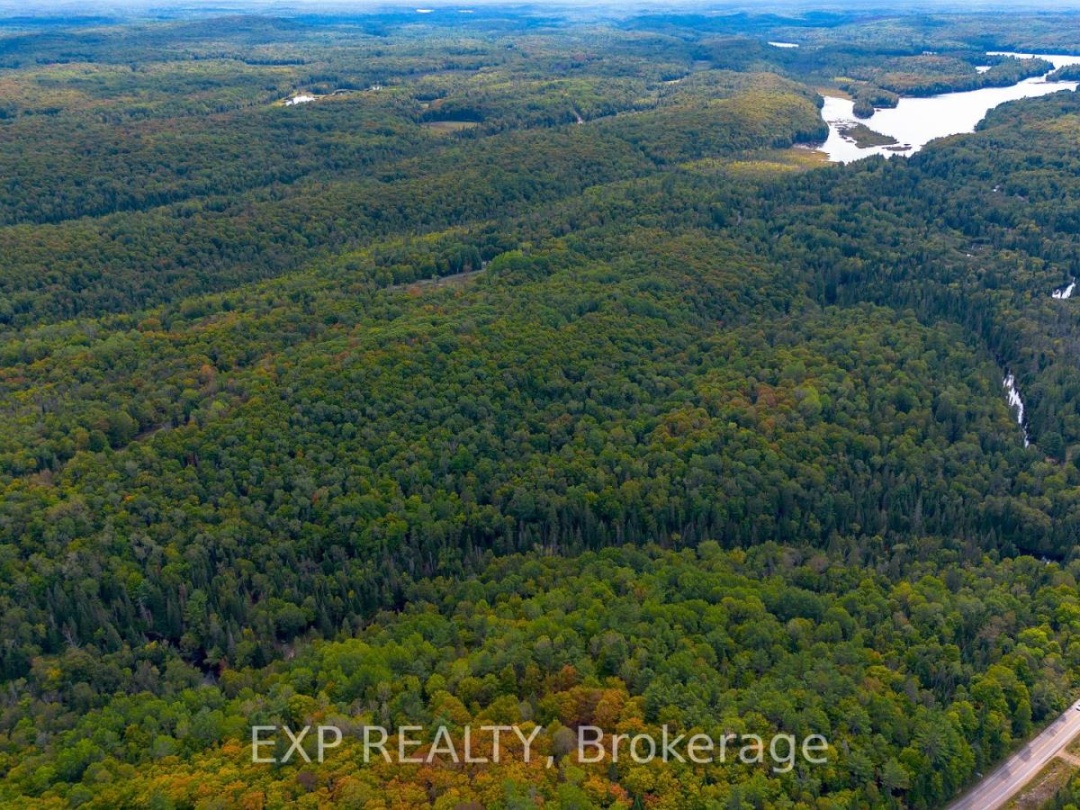10282 COUNTY ROAD 503, 