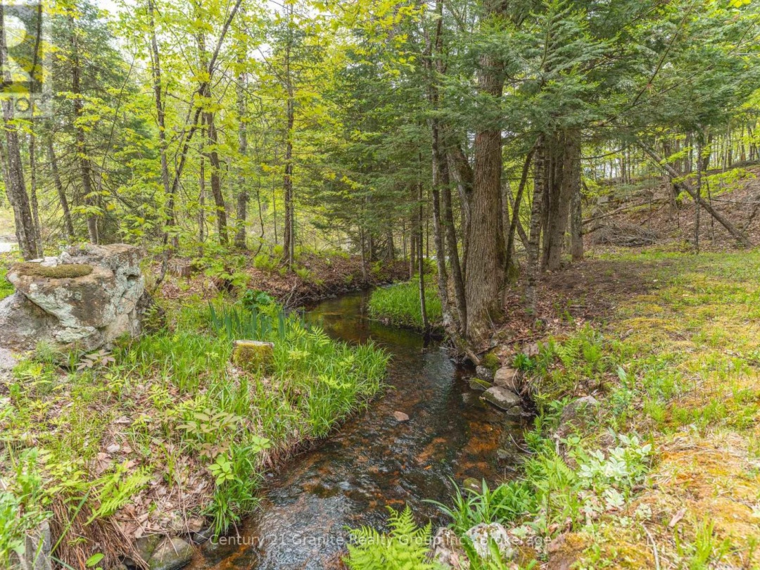 7032 COUNTY ROAD 121, 