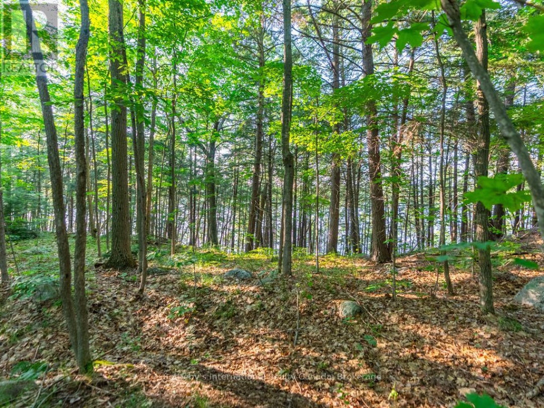 LOT#2 - 1250 WALDMERE ROAD, Lake Muskoka