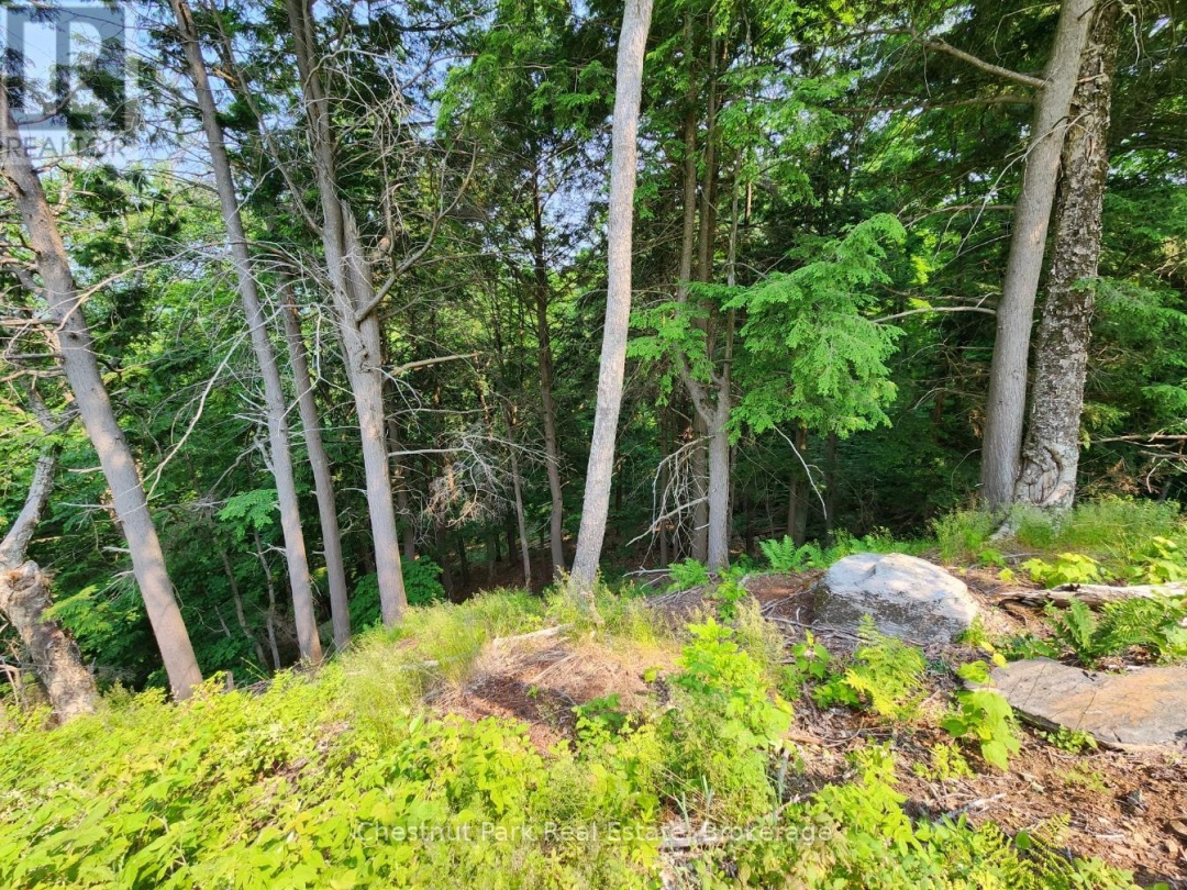 19 OLD HEMLOCK TRAIL, 