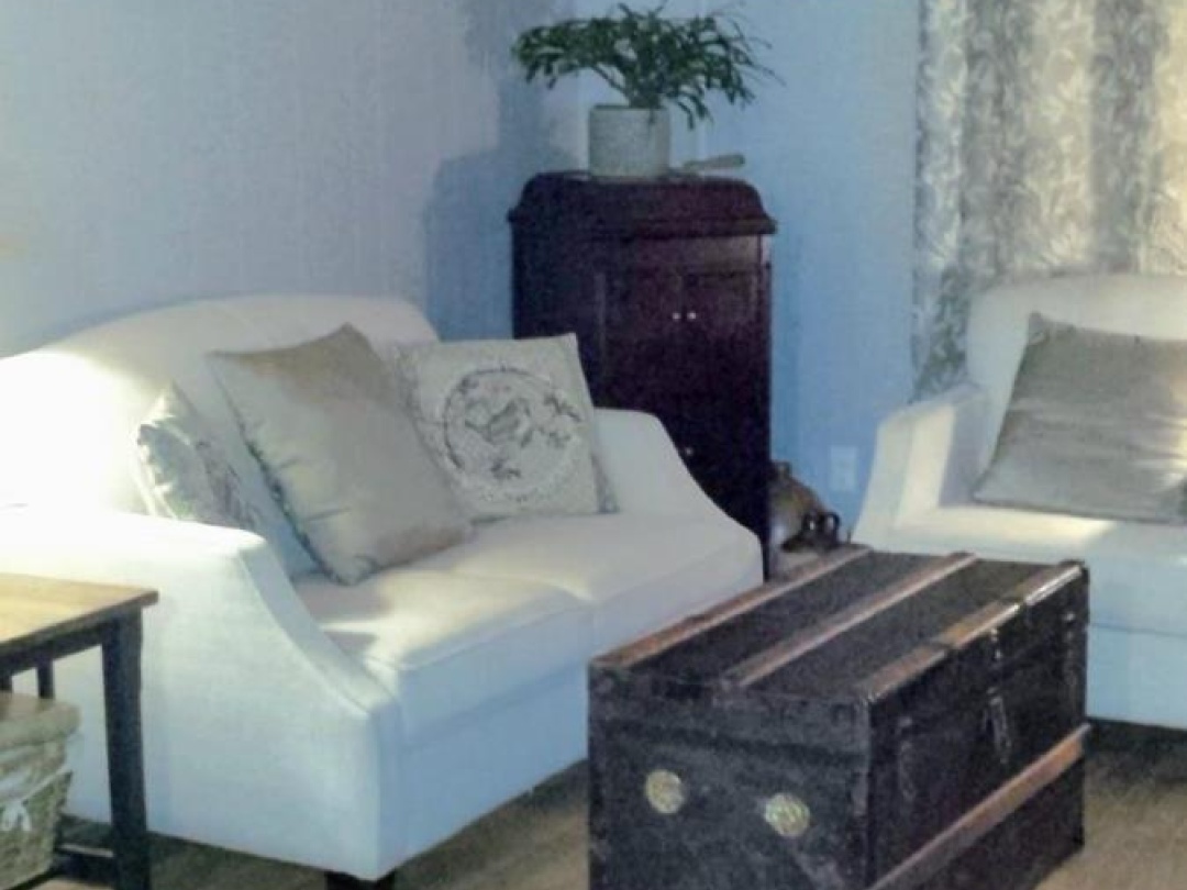 1046 LUTTERWORTH PINES ROAD, 