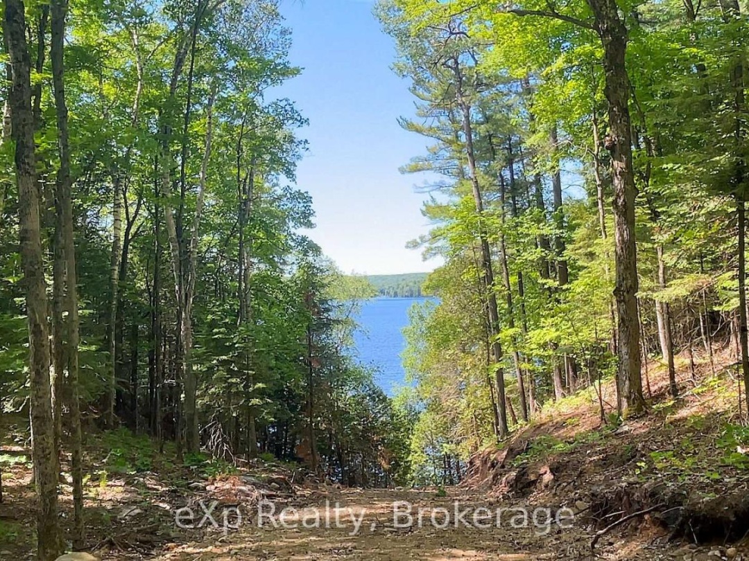 Lot # 4 Gonnsen Trail, Drag Lake