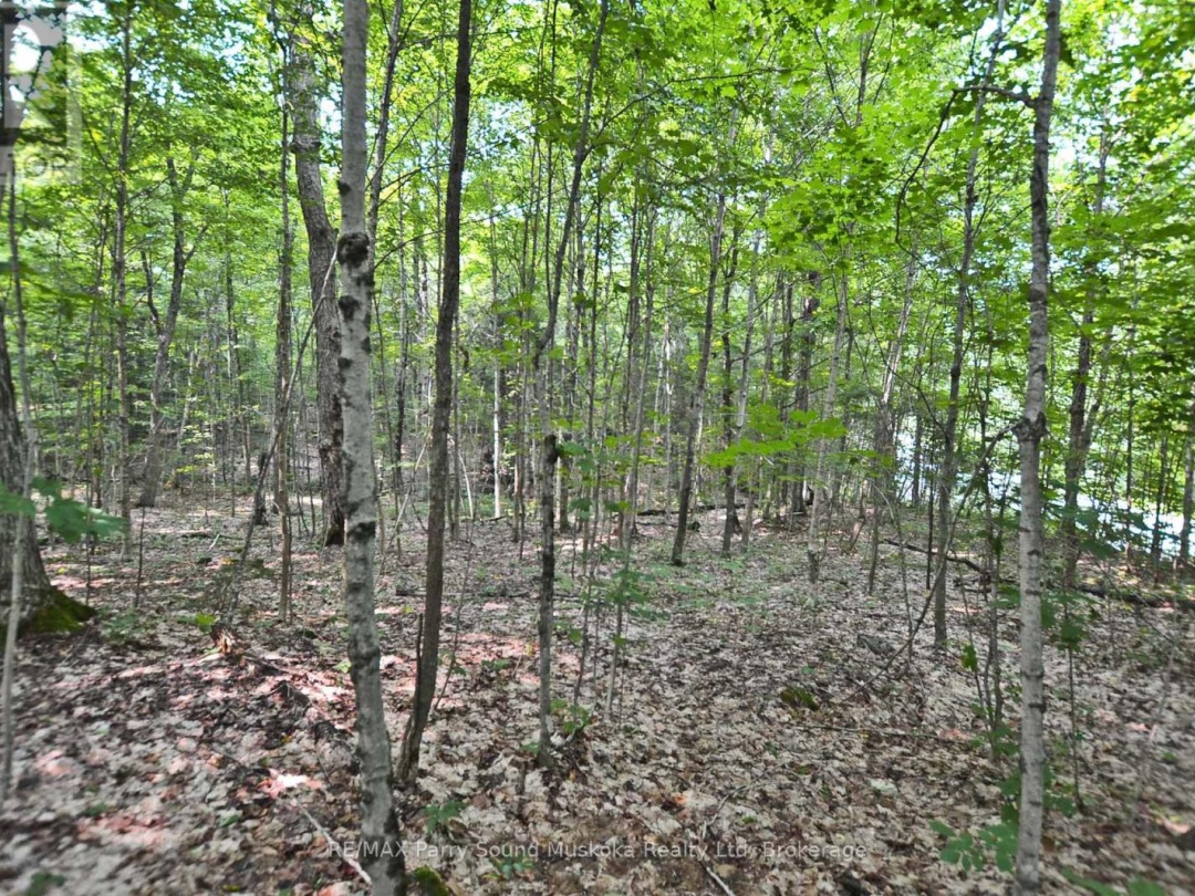 Part 2 0 Lyndsey Lane, McKellar