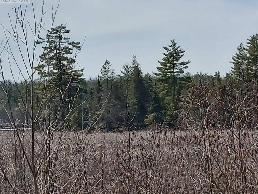 00 BASS LAKE ROAD N, Trent Lakes