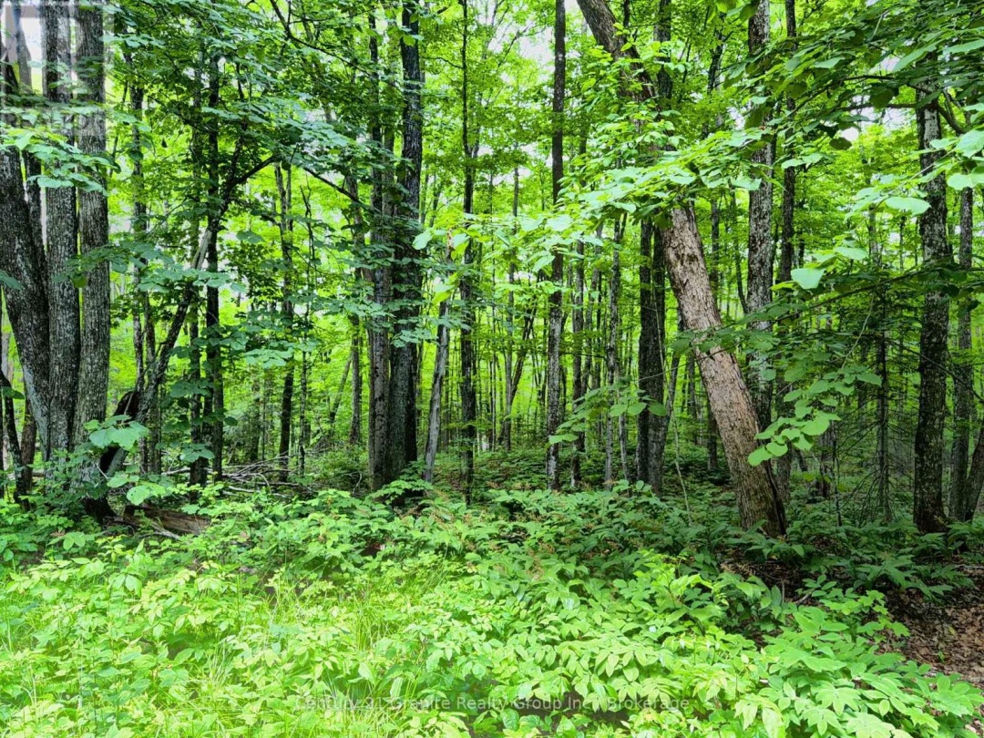 0 LOON LAKE ROAD, 