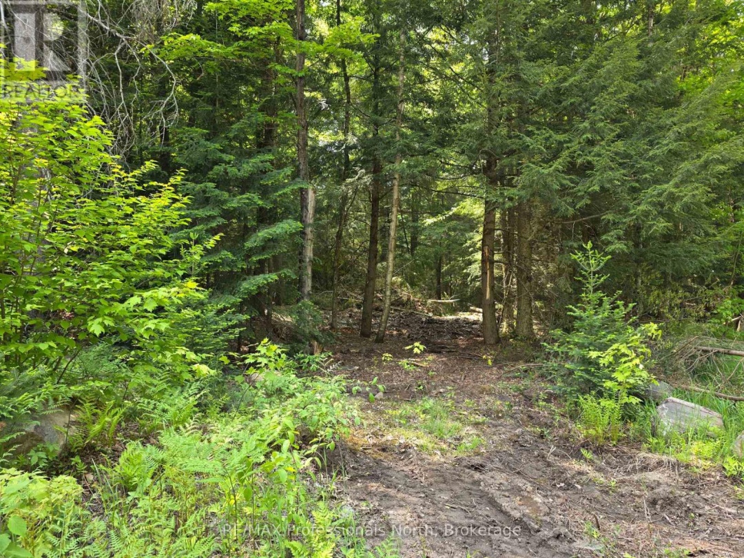 0 25Th Line Road, Algonquin Highlands (Stanhope)
