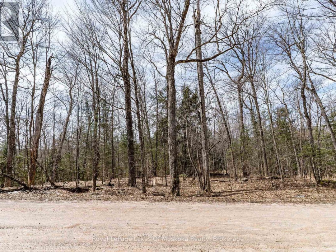 0 Bird Lake Road, Bird Lake