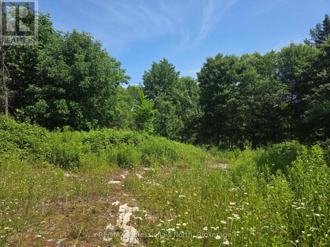 1134 WALKERS LINE ROAD, 