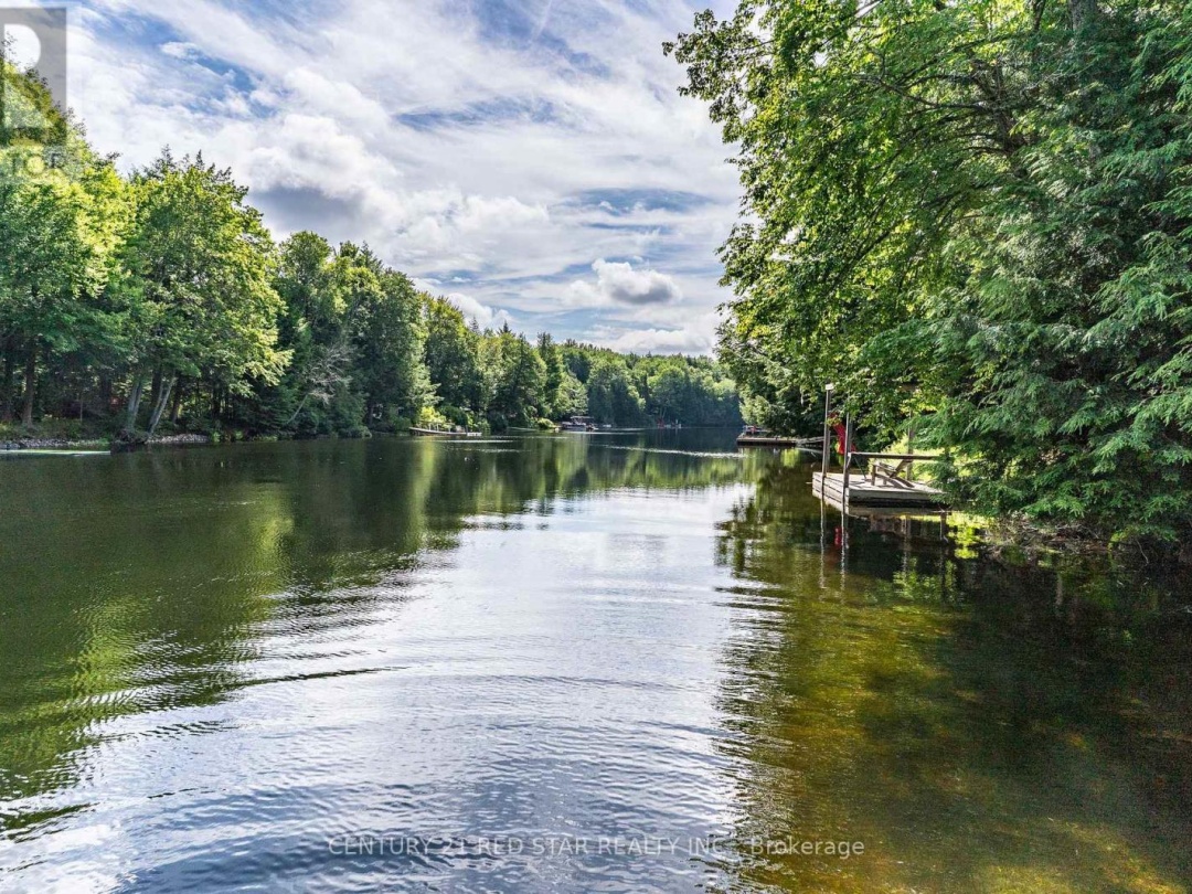 1139 SHERWOOD FOREST ROAD, 