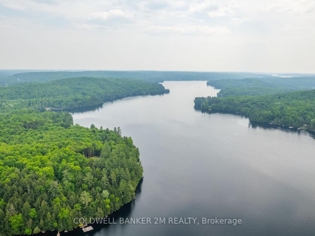 1174 BIRCH NARROWS ROAD, 