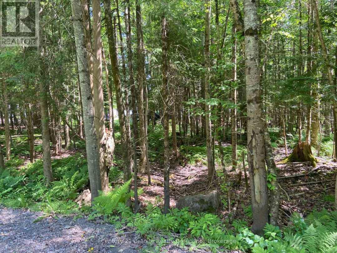 1272 REYNOLDS ROAD, 