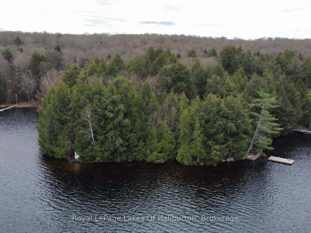 1017 Palace Drive, Little Kennisis Lake