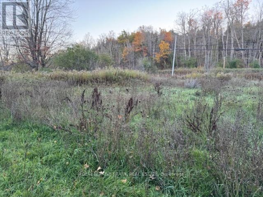 PT LT 20 FIRE ROUTE 121, 