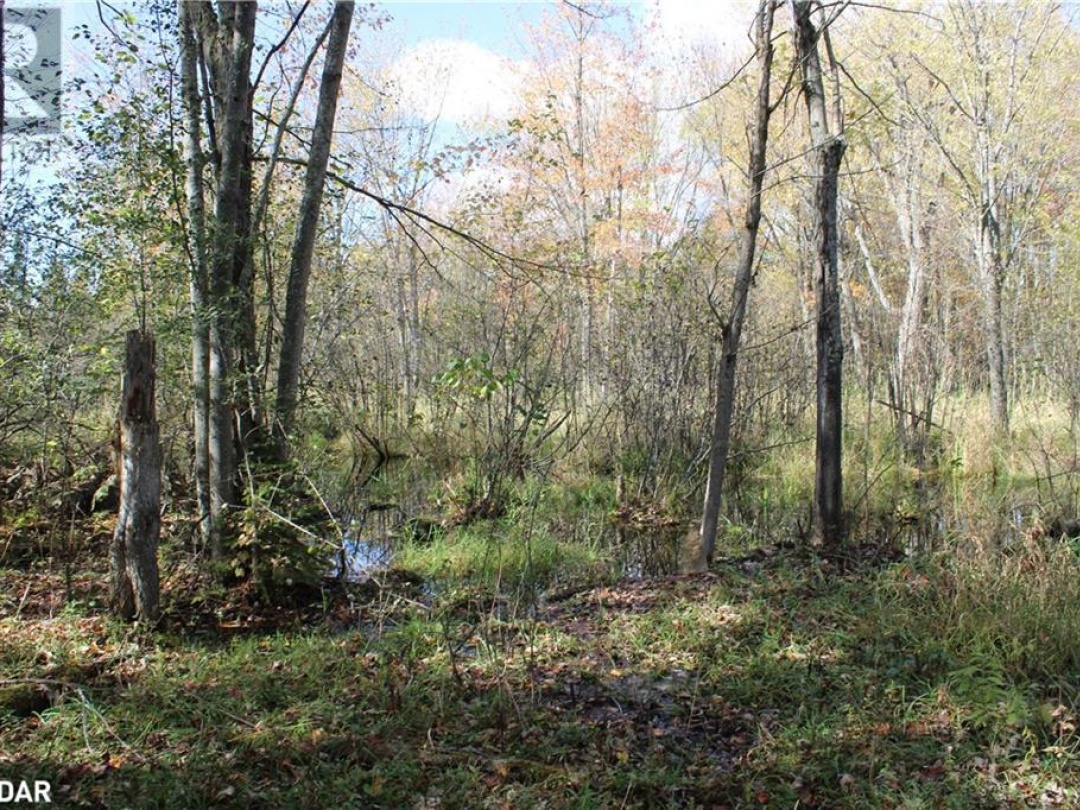 388 Woodland Drive, Oro-Medonte
