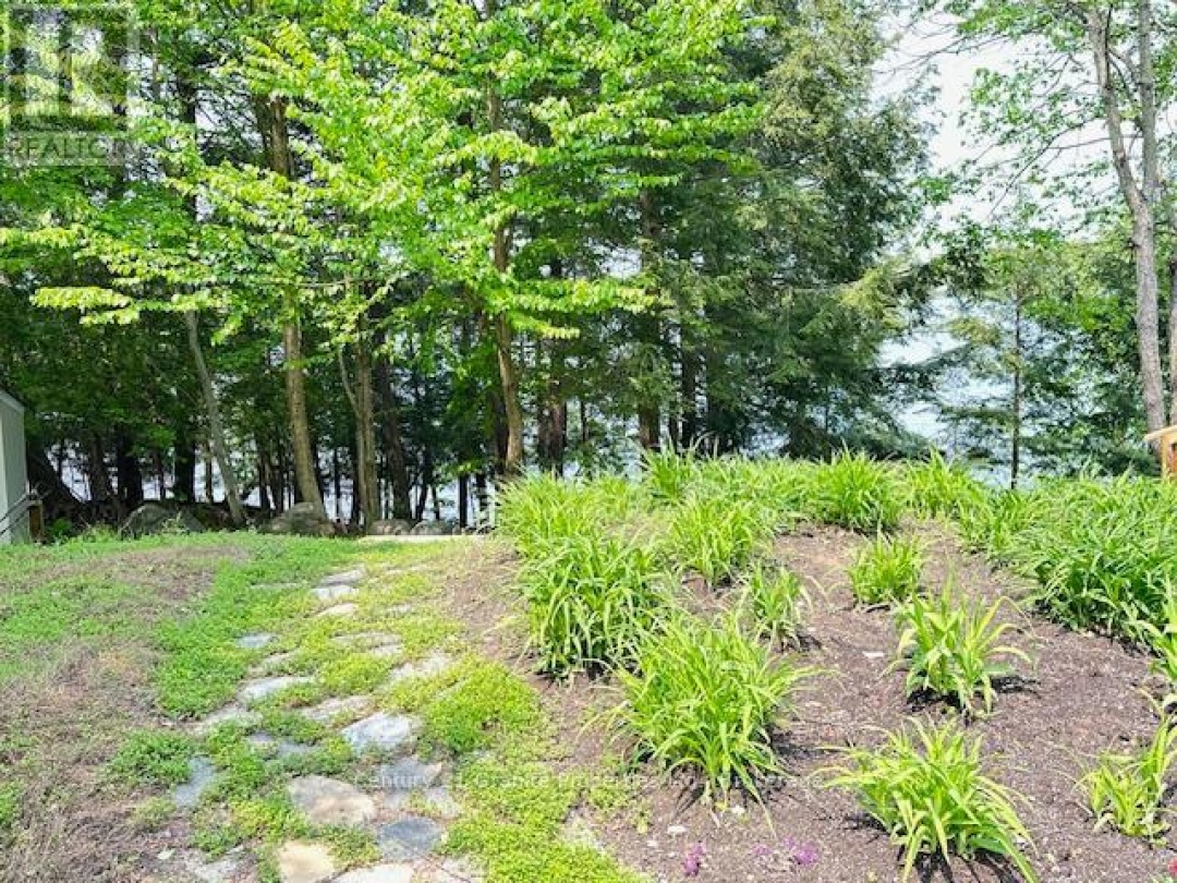 4 TURTLE LANE, 