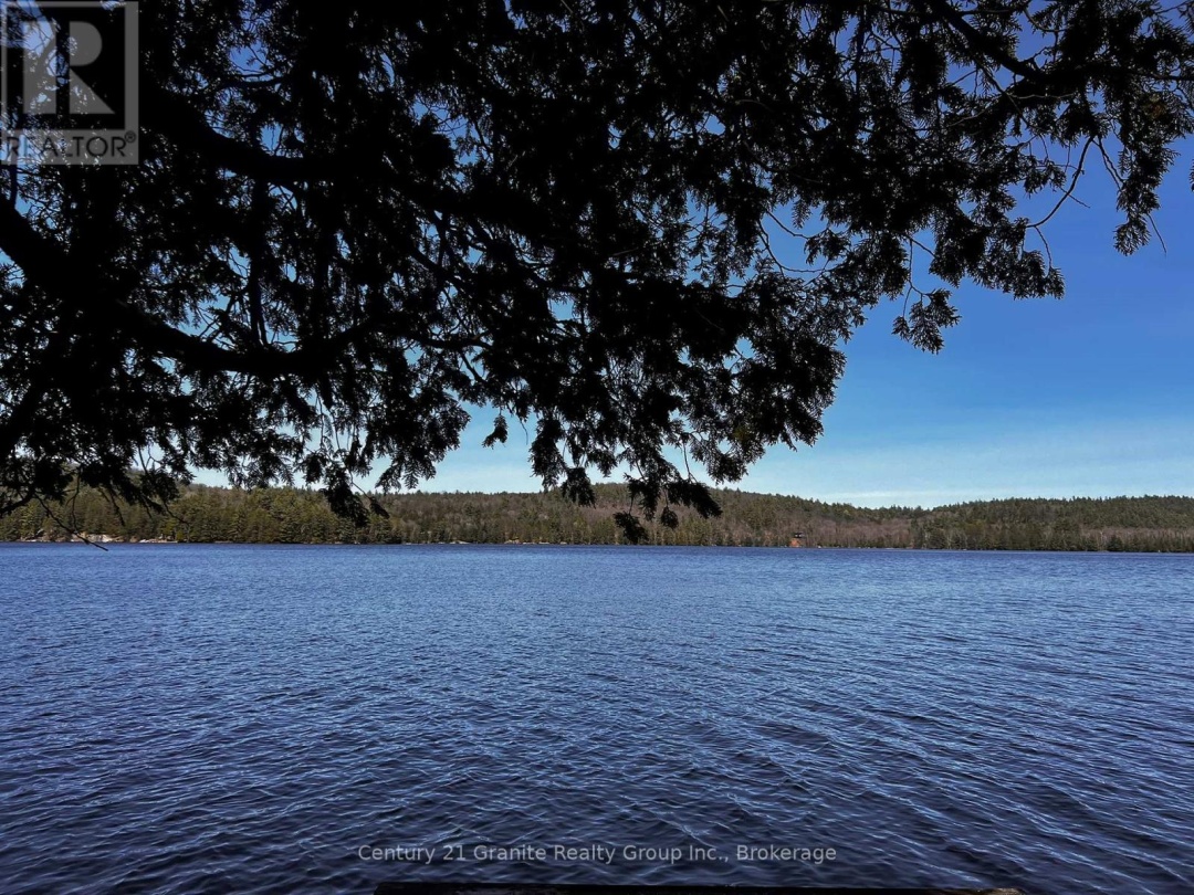 1208 Reg's Trail, Drag Lake