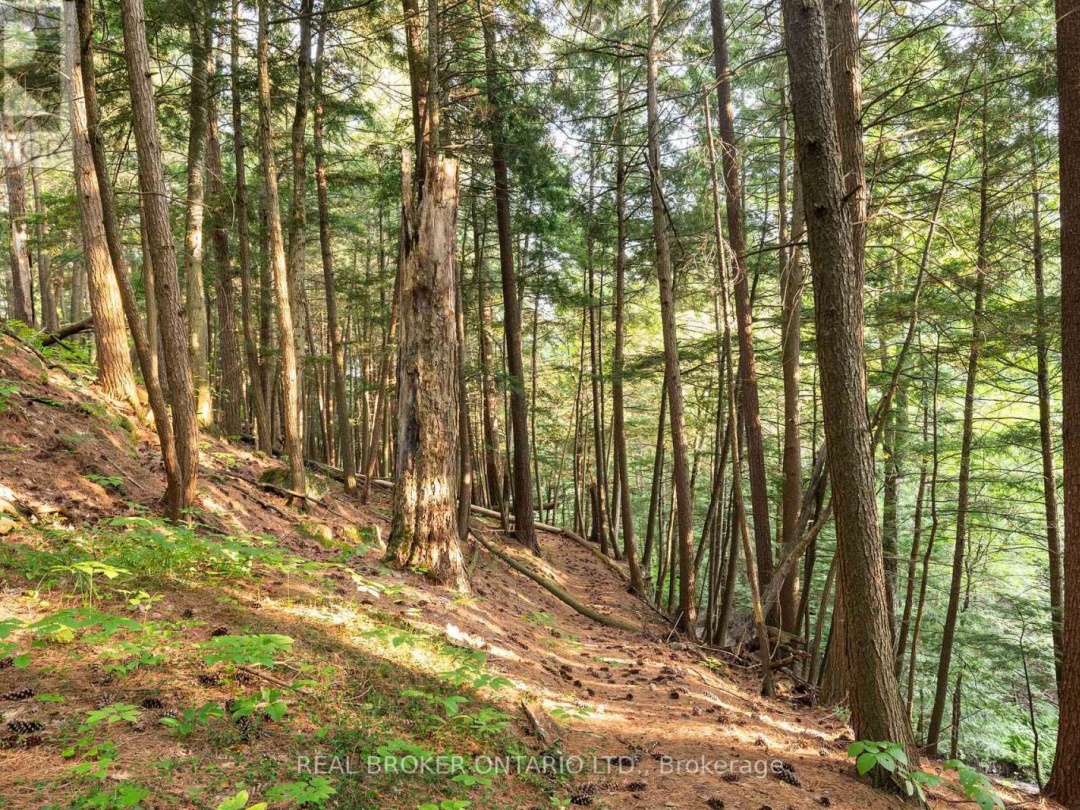 1401 COOPERS FALLS ROAD, 