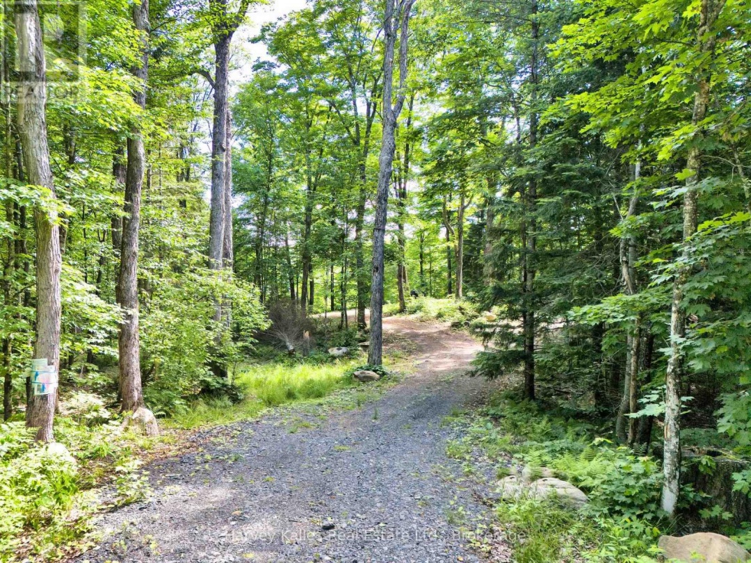 3 1082 Carl Fisher Drive, Bella Lake