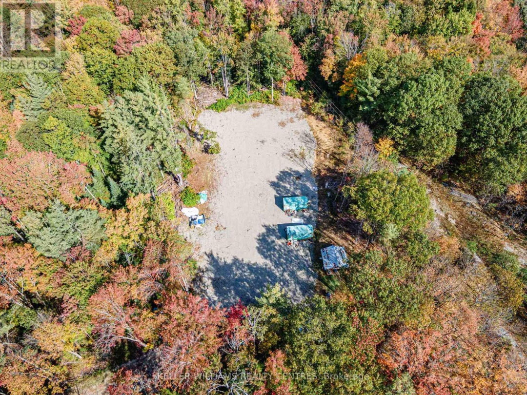 3124 SOUTHWOOD ROAD, 
