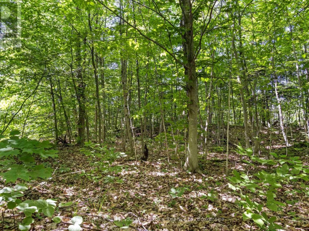 34A BELL LAKE ROAD, 