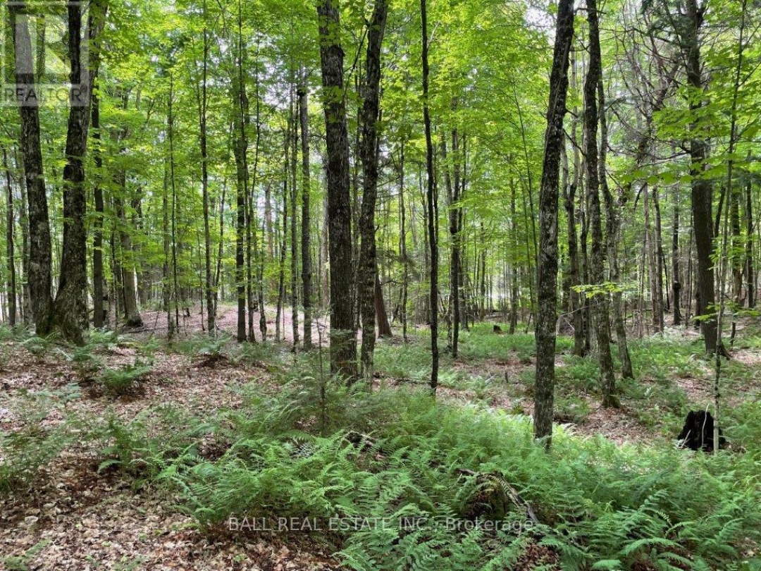 1350 HALIBURTON LAKE RD,