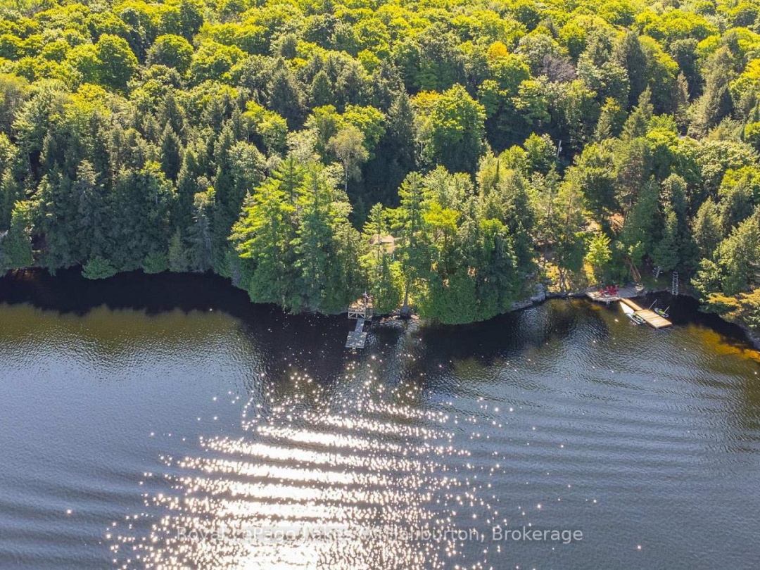 1358 KUSHOG LAKE ROAD, 