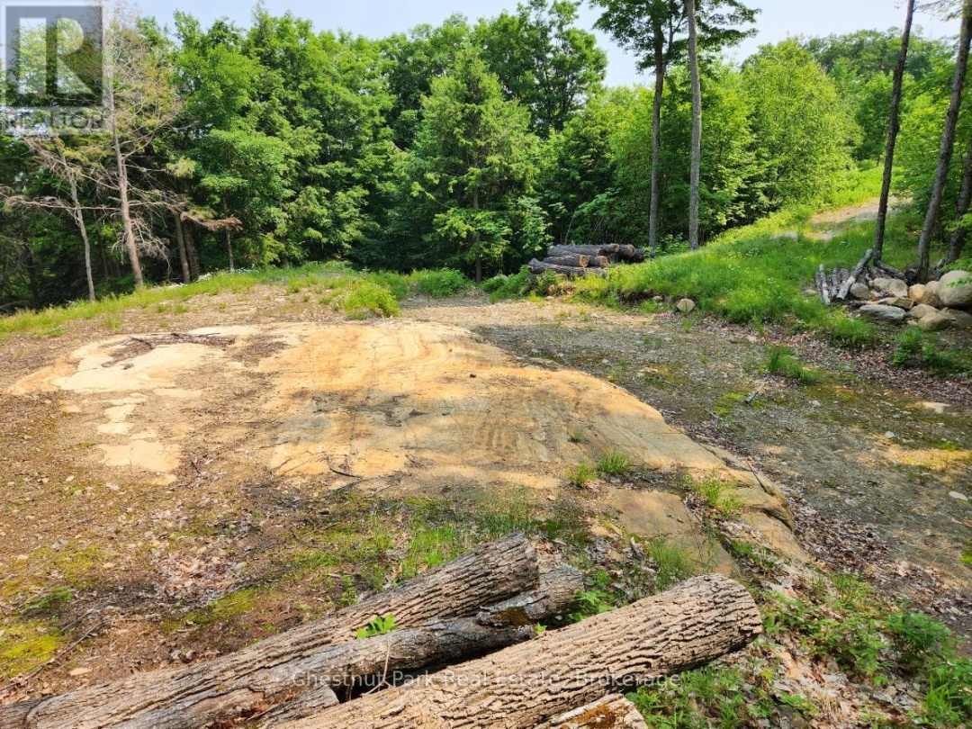 19 OLD HEMLOCK TRAIL, 