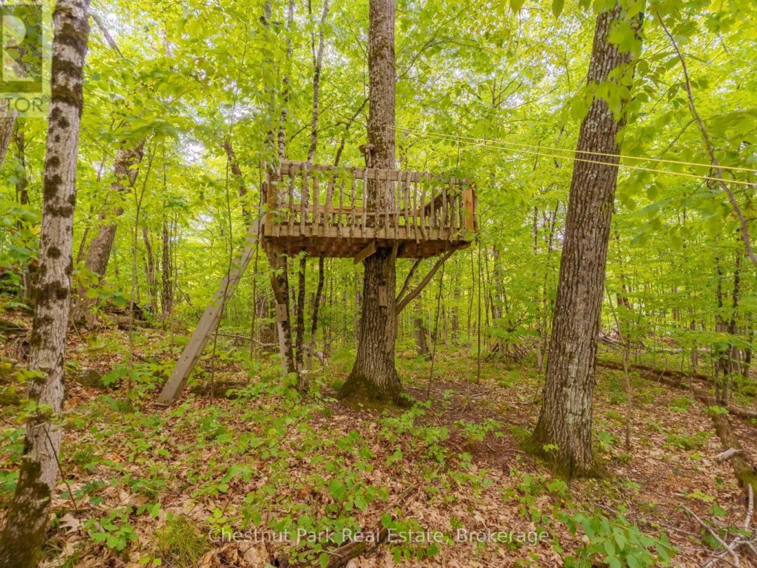 517 MOHAWK ROAD, 