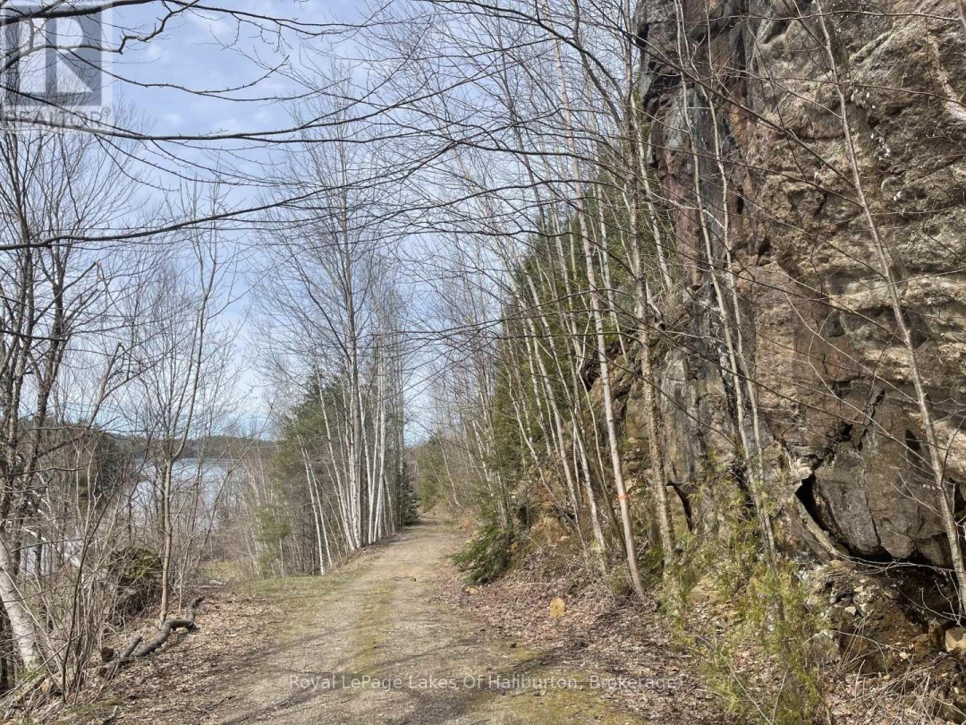 0 Starlight Road, Gull Lake