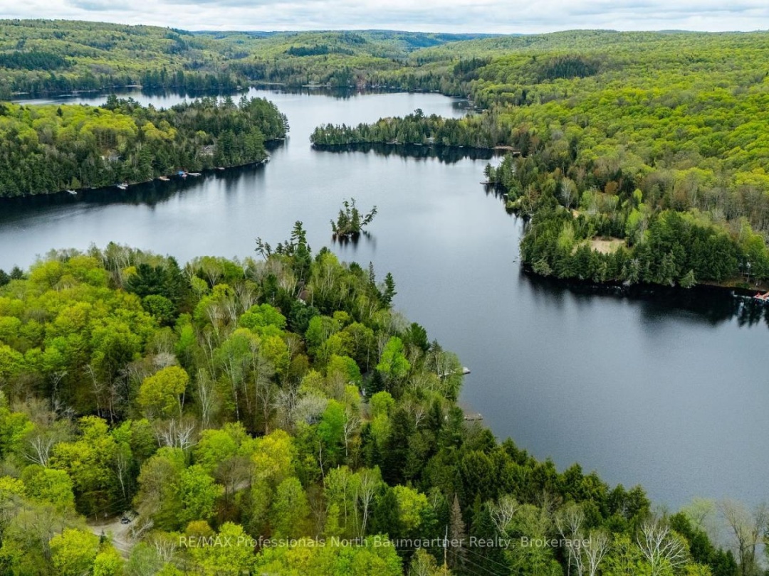 1004 Wilson Heights Trail, Haliburton Lake