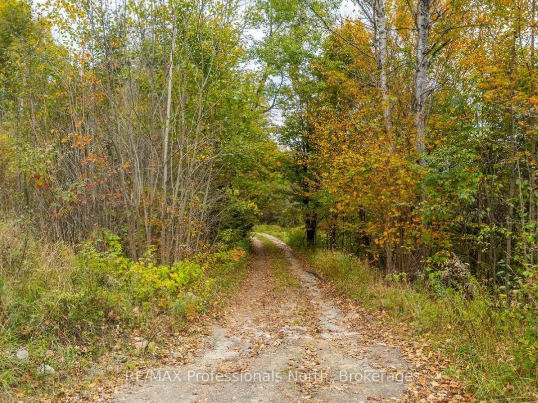 1600 BOBCAYGEON ROAD, 