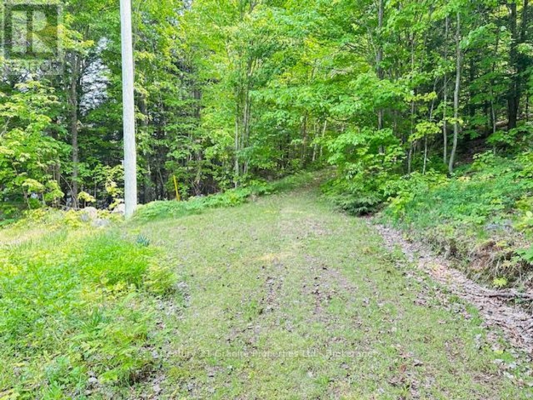 4 TURTLE LANE, 